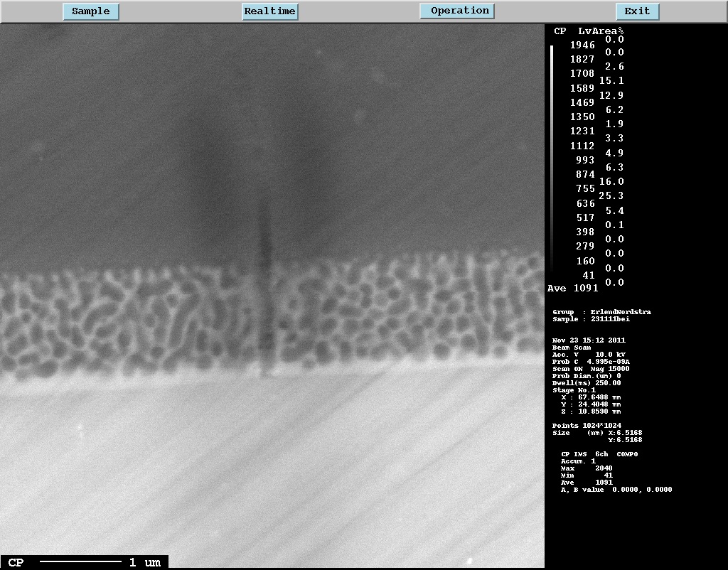 silicon microwire interface